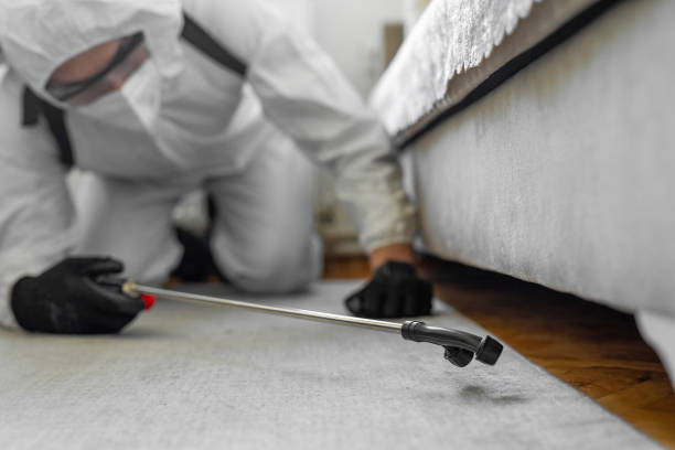 Professional Bed Bug Control technician working in Brookings, OR